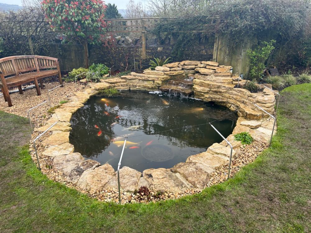 Pond with fish surrounded by predator control fending